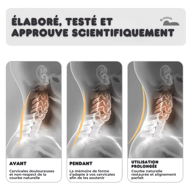 Coussin Cervicales Orth4WD Ergonomique à Mémoire de Forme