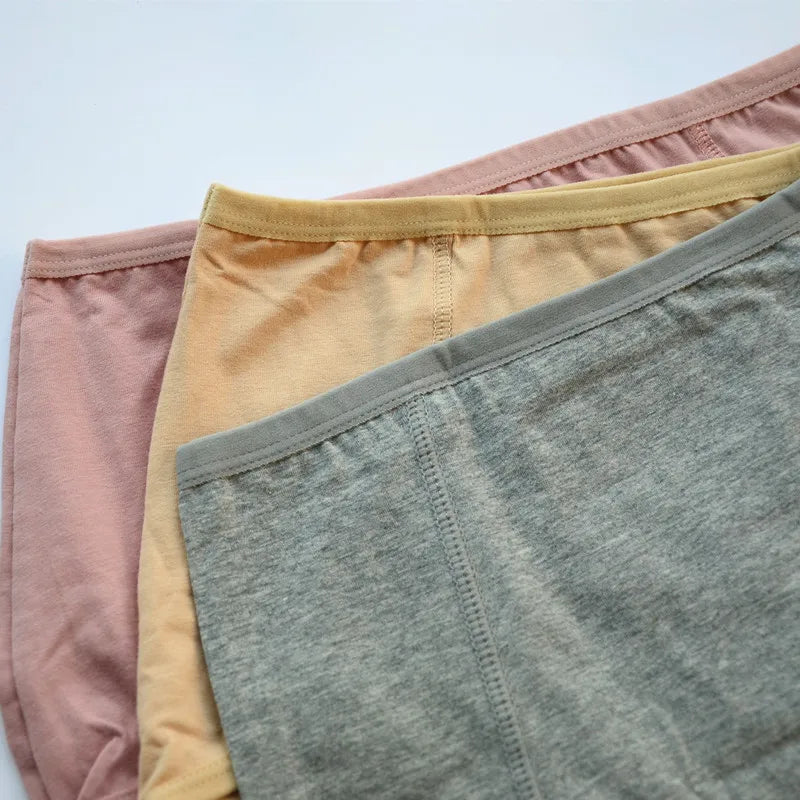 Lot de 3 Culottes Taille Haute en Coton