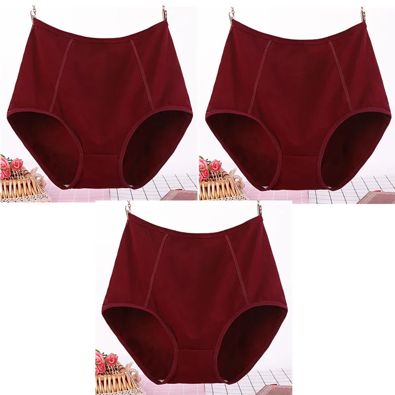 Lot de 3 Culottes Taille Haute en Coton