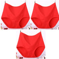Lot de 3 Culottes Taille Haute en Coton