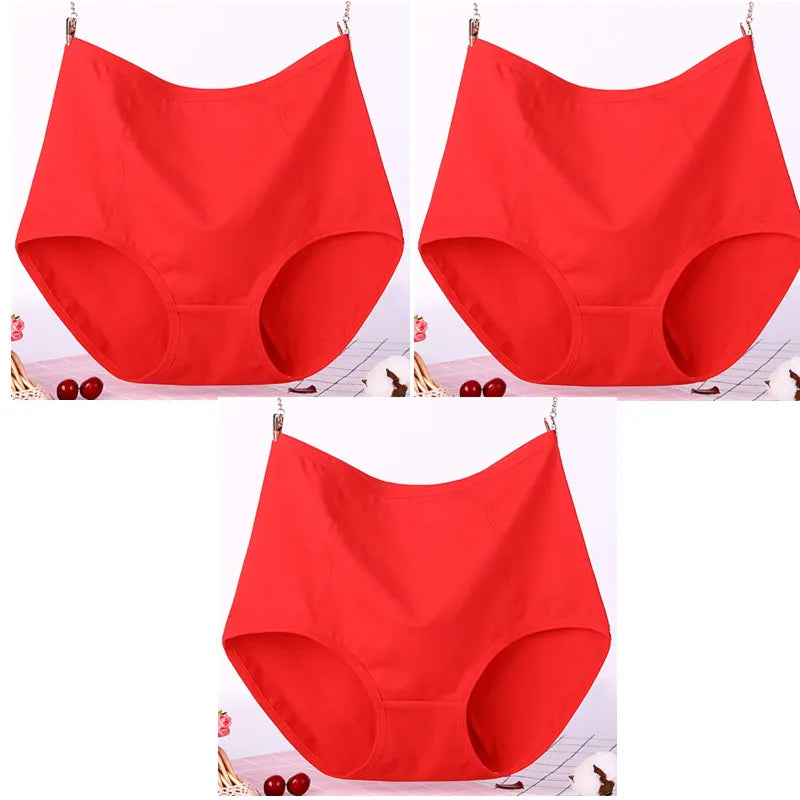 Lot de 3 Culottes Taille Haute en Coton