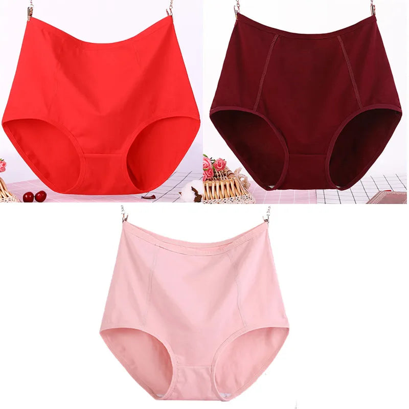 Lot de 3 Culottes Taille Haute en Coton