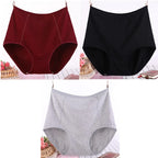 Lot de 3 Culottes Taille Haute en Coton