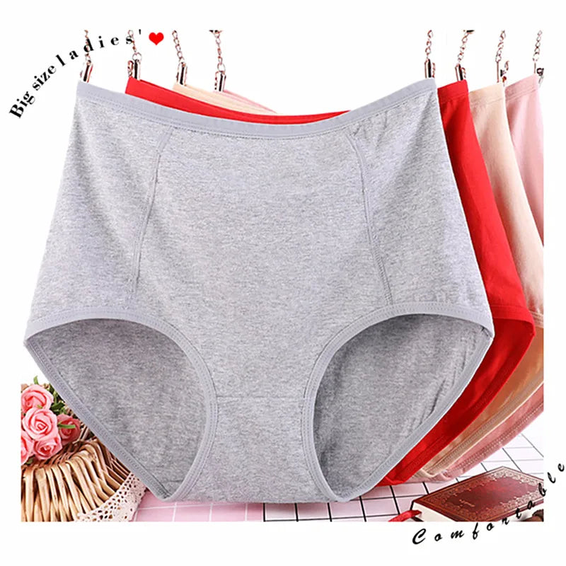 Lot de 3 Culottes Taille Haute en Coton