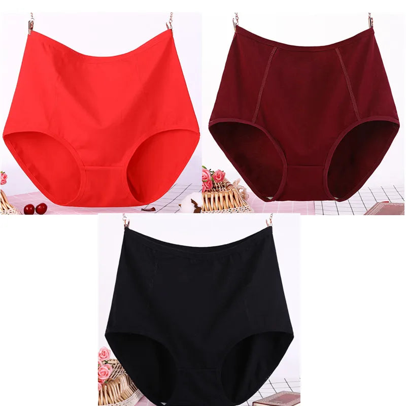 Lot de 3 Culottes Taille Haute en Coton