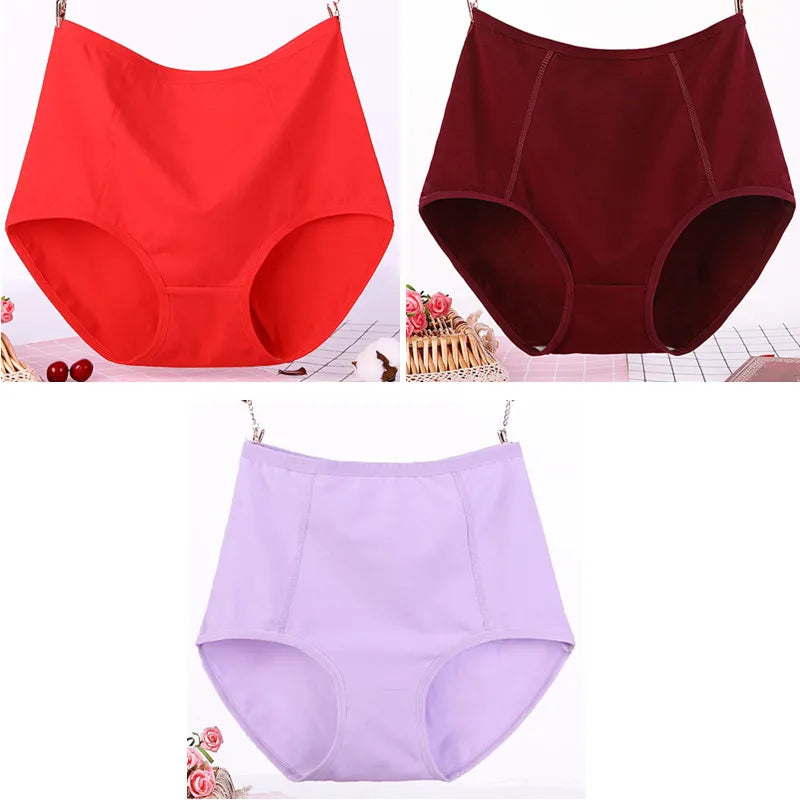 Lot de 3 Culottes Taille Haute en Coton
