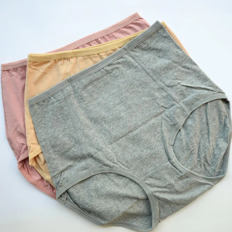 Lot de 3 Culottes Taille Haute en Coton