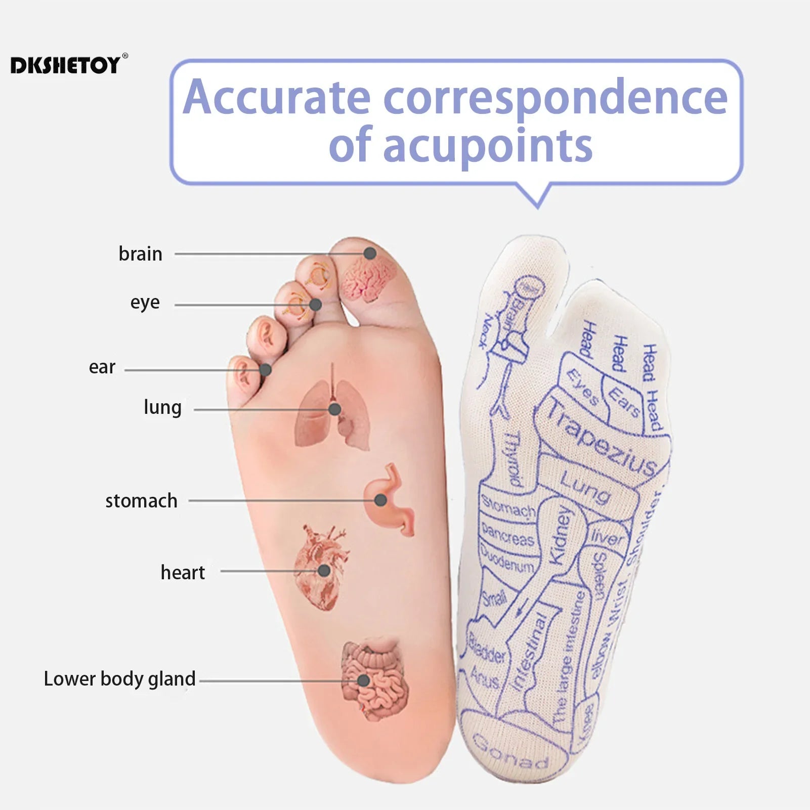 Chaussettes de Réflexologie Plantaire - Accessoires OFFERTS