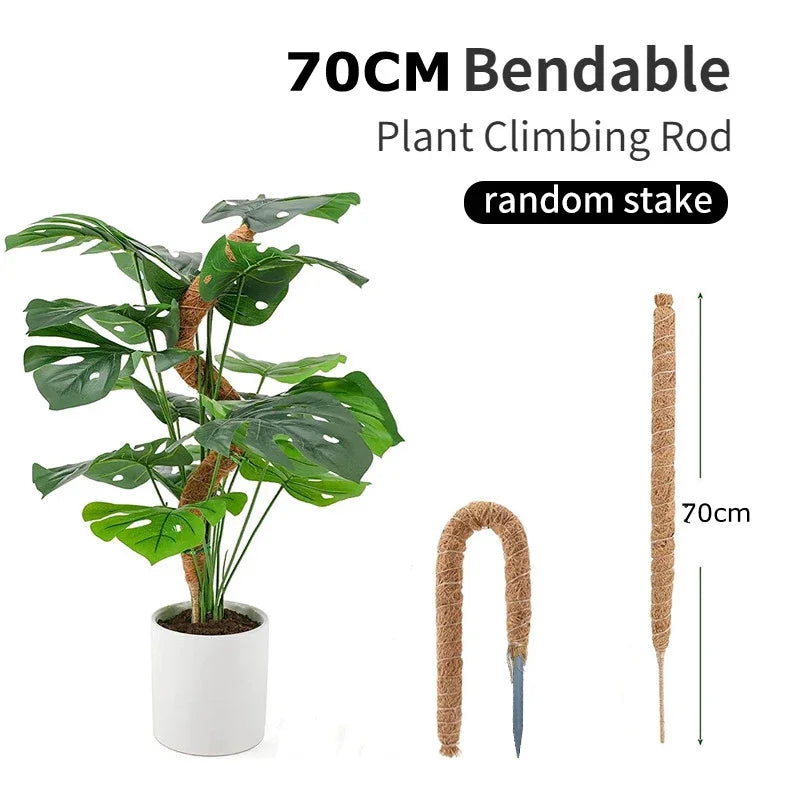 Support Modulable en Fibre de Coco pour Tiges de Plantes Grimpantes – Fil de Fer OFFERT