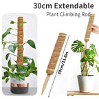 Support Modulable en Fibre de Coco pour Tiges de Plantes Grimpantes – Fil de Fer OFFERT