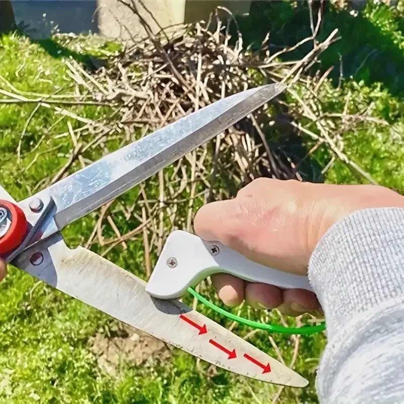 Aiguiseur de Couteaux & Lames Ergonomique