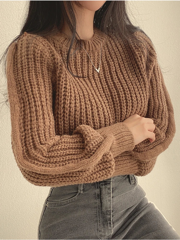 Pull Tricot à Maille Épaisse - Femme
