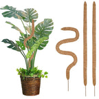 Support Modulable en Fibre de Coco pour Tiges de Plantes Grimpantes – Fil de Fer OFFERT