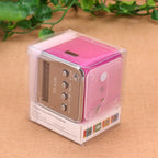 Mini Radio FM avec lecteur de carte SD intégré