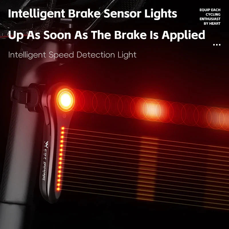 Feu arrière de vélo 6 Modes waterproof