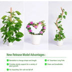 Support Modulable en Fibre de Coco pour Tiges de Plantes Grimpantes – Fil de Fer OFFERT