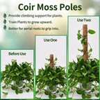 Support Modulable en Fibre de Coco pour Tiges de Plantes Grimpantes – Fil de Fer OFFERT