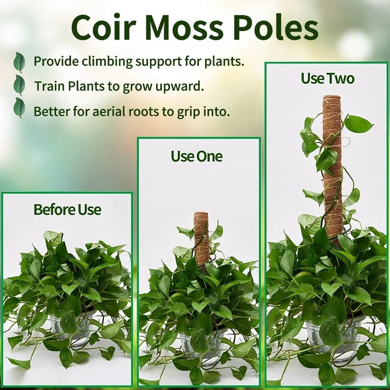 Support Modulable en Fibre de Coco pour Tiges de Plantes Grimpantes – Fil de Fer OFFERT