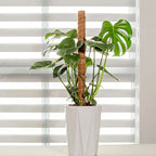 Support Modulable en Fibre de Coco pour Tiges de Plantes Grimpantes – Fil de Fer OFFERT