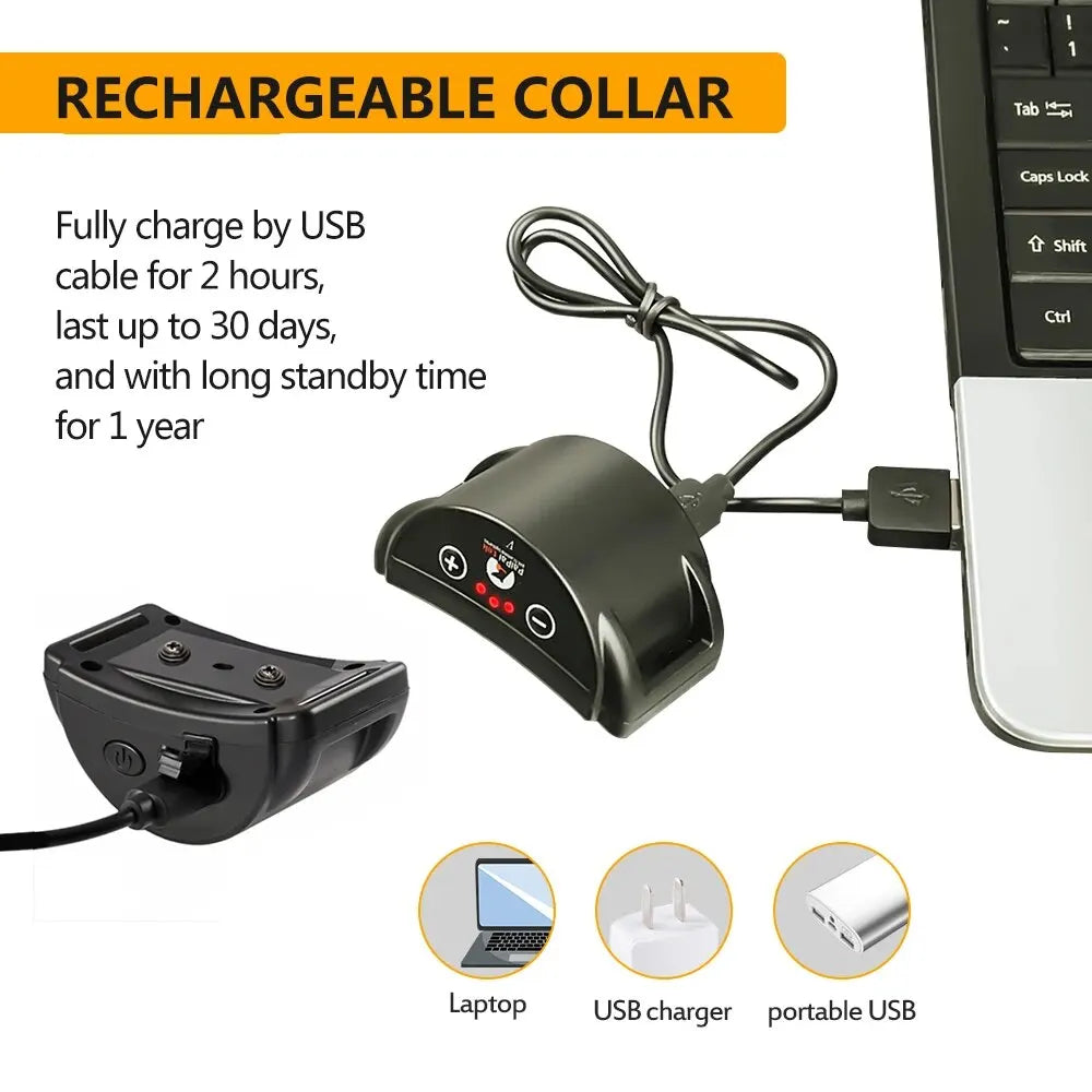 Collier Anti-Aboiement Rechargeable pour Petits et Moyens Chiens – Entraînement par Vibration 258V