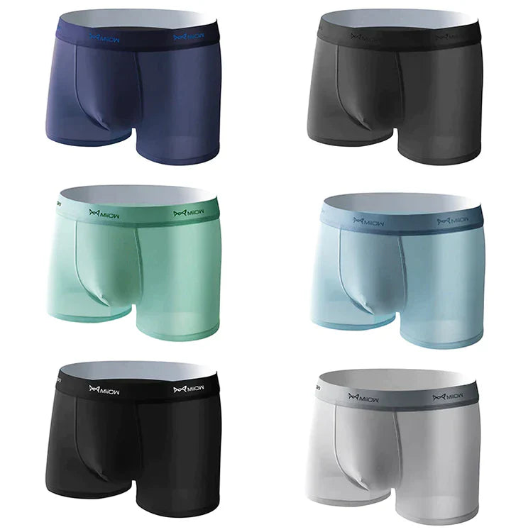 Lot de 4 Boxer en soie glacée anti bactérien
