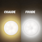 Lot de 2 Lampes LED détecteur de mouvement
