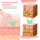 ICE ROLLER  - Le rouleau glaçon de massage raffermissant & anti-rides