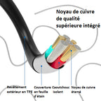 Caméra Endoscopique Intelligente