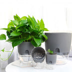 2 Pots de fleurs design - Avec système d'auto-irrigation